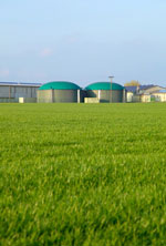 Investition in ein Biomassekraftwerk mit mit Energie-Investment.org